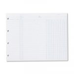 Accounting, 9-1/4 x 11-7/8, 100 Loose Sheets/Pack