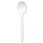 Plastic Cutlery, Mediumweight Soup Spoons, White, 1000/Carton