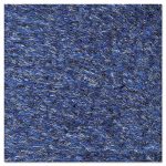 Rely-On Olefin Indoor Wiper Mat, 24 x 36, Blue/Black