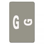 Alpha-Z Color-Coded Second Letter Alphabetical Labels, G, 1 x 1.63, Gray, 10/Sheet, 10 Sheets/Pack