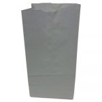 Grocery Paper Bags, 5.25" x 10.94", White, 500 Bags