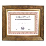 Executive Series Document and Photo Frame, 8 x 10, Gold Frame