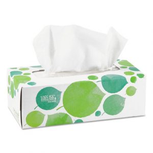 100% Recycled Facial Tissue, 2-Ply, 175/Box