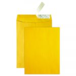 High Bulk Redi-Strip Catalog Envelope, #13 1/2, Cheese Blade Flap, Redi-Strip Closure, 10 x 13, Brown Kraft, 250/Carton