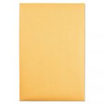 Park Ridge Kraft Clasp Envelope, #55, Cheese Blade Flap, Clasp/Gummed Closure, 6 x 9, Brown Kraft, 100/Box