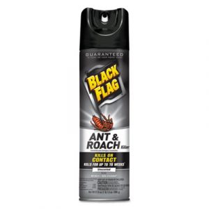 Black Flag Ant & Roach Killer Spray, 17.5 oz Aerosol