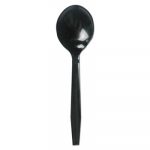 Mediumweight Polystyrene Cutlery, Soup Spoon, Black, 1000/Carton