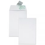 Redi-Strip Catalog Envelope, #1, Cheese Blade Flap, Redi-Strip Closure, 6 x 9, White, 100/Box