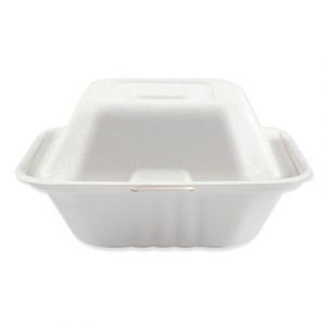 Bagasse Molded Fiber Food Containers, Hinged-Lid, 1-Compartment 6 x 6, White, 500/Carton