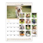 Puppies Monthly Wall Calendar, 15 1/2 x 22 3/4, 2020
